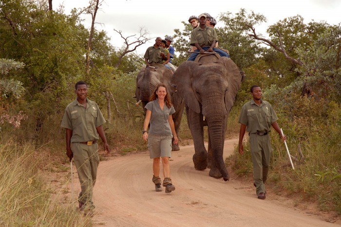 Kwa Madwala elephant back safari